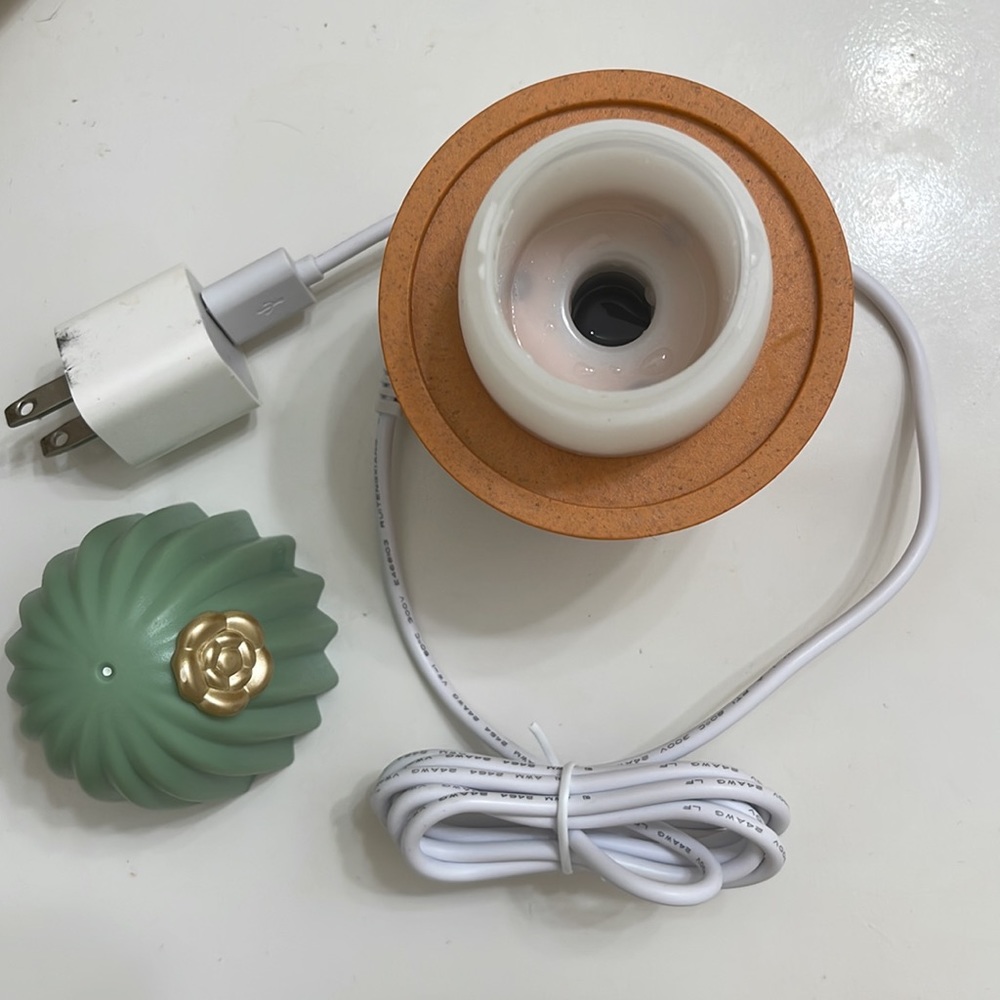 Mini cactus diffuser with usb cord. - Picture 4 of 4